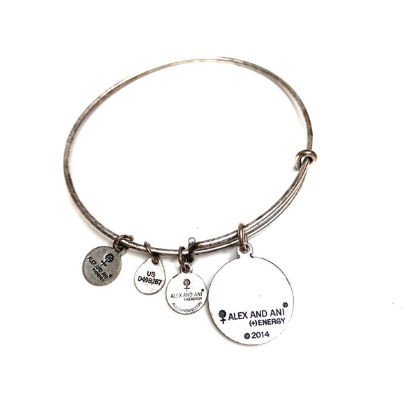 ALEX and ANI 2014 Silver Tone (+)Energy Bracelet - Picture 4 of 4